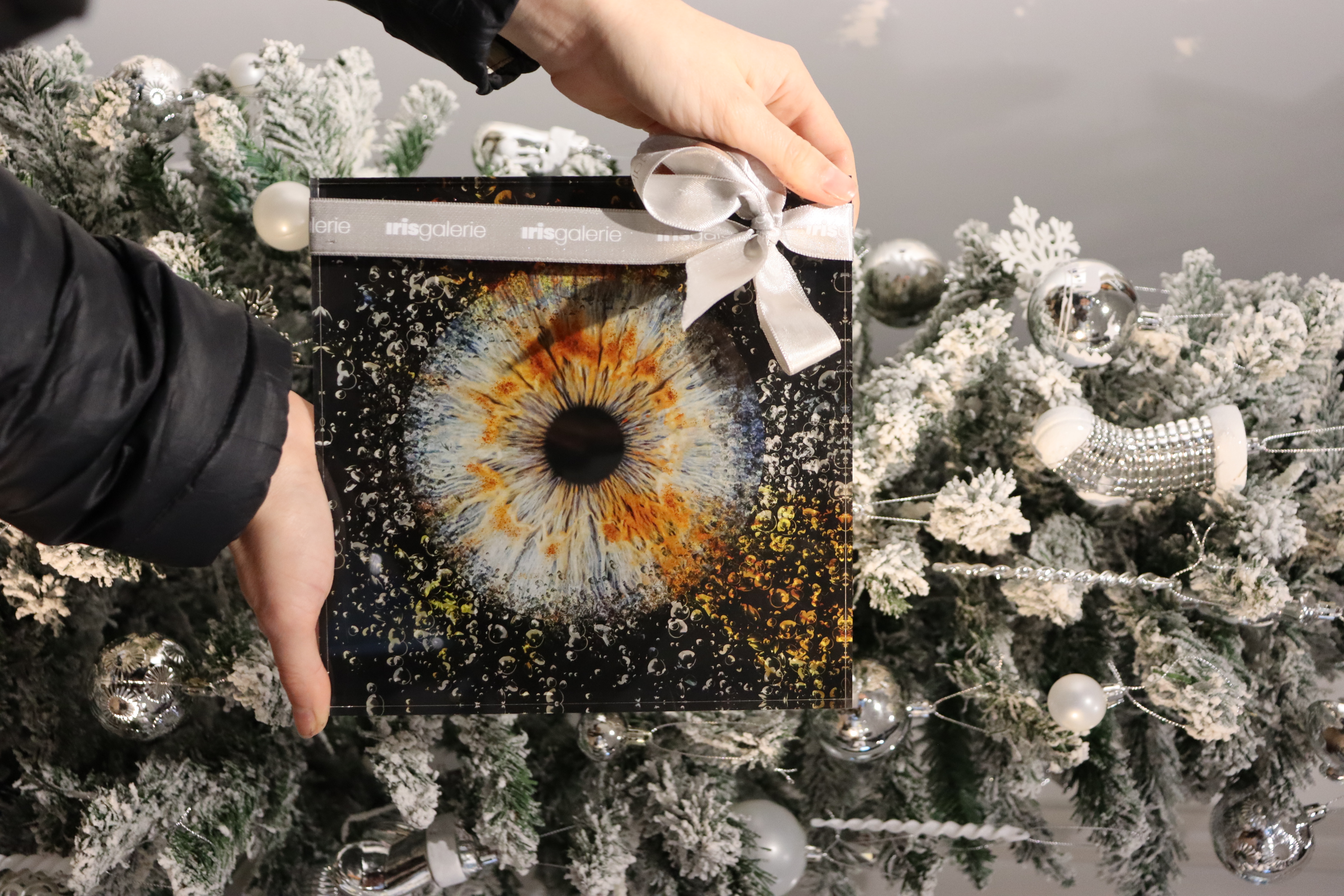 A guest in front of a decorated Christmas tree, holding up a gift wrapped photo of their iris after it was transformed into an art piece at the Iris Gallerie.