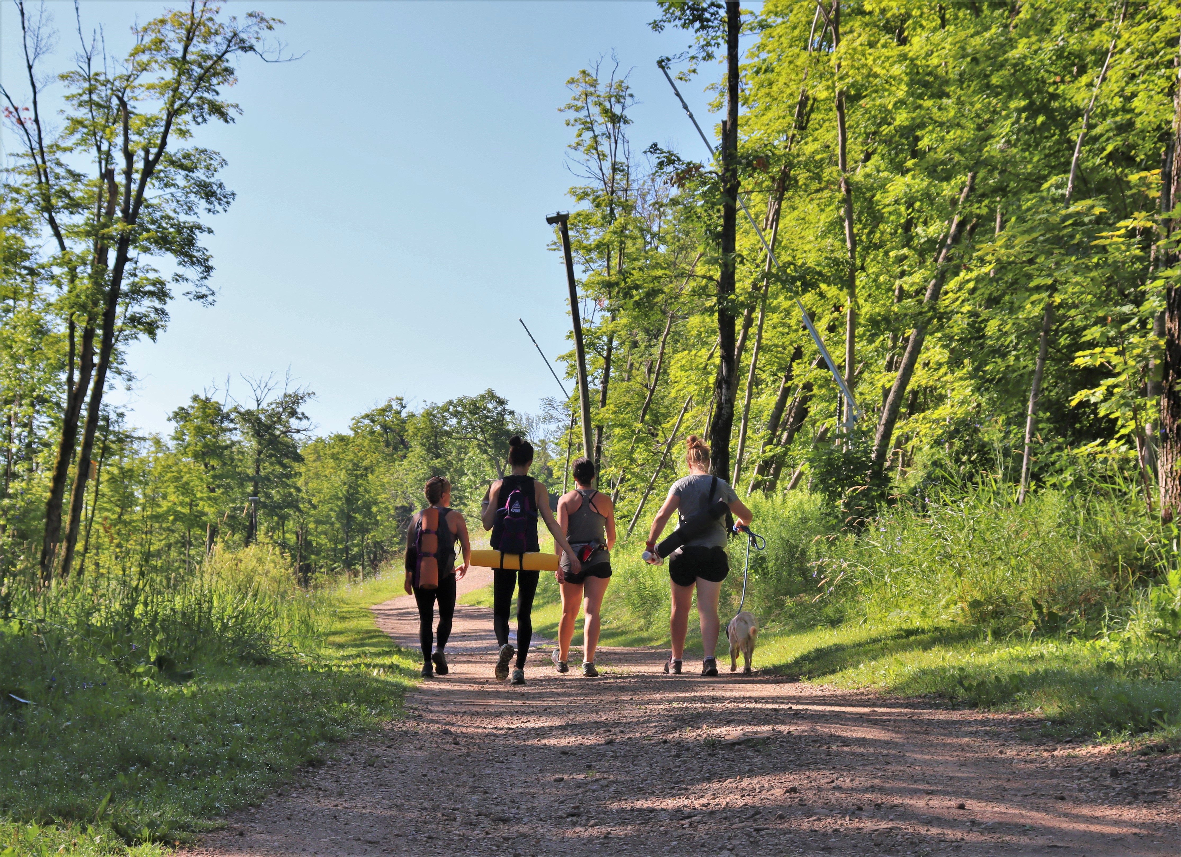 A group of friends participating in hike and yoga on the mountain. 