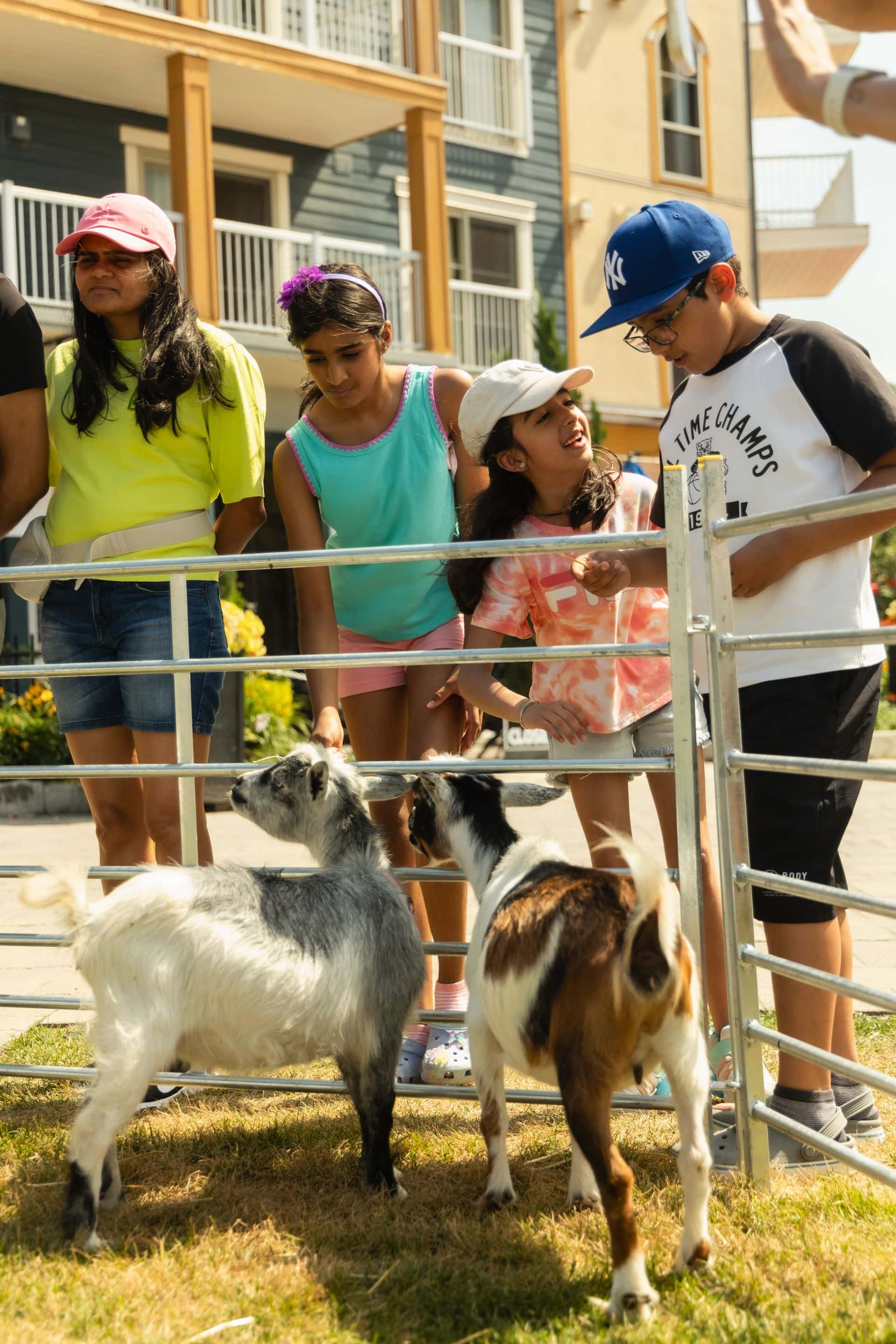 Kids gathered around the fence, peeking over and petting the goats at the Barnyard Bonanza in the Village.