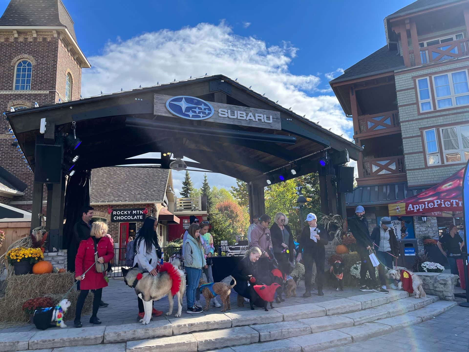 Dogs and their owners lined up across the Subaru Stage for a group photo following the Bark N Blue Best in Show contest at Blue Mountain Village.
