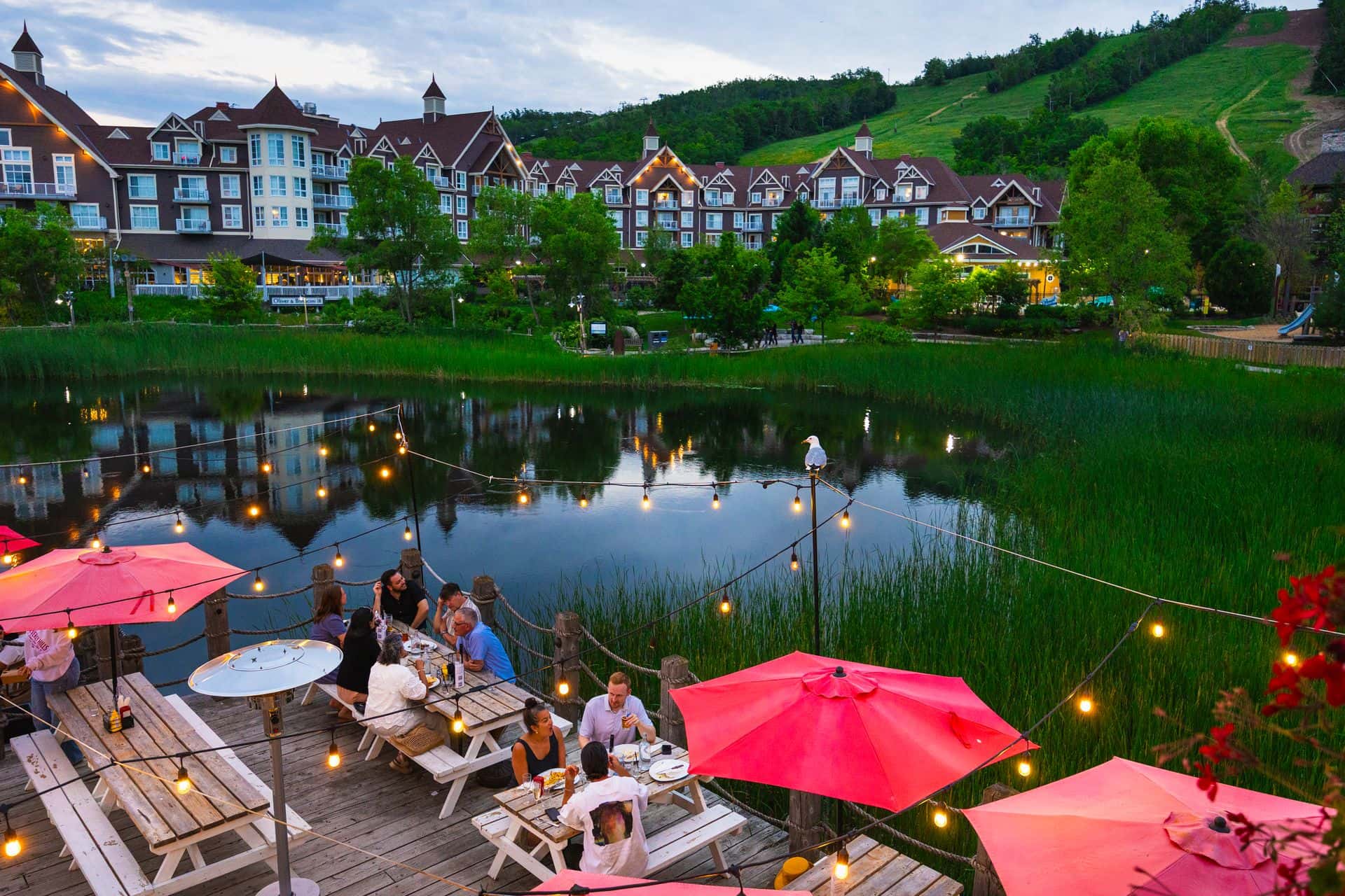Summer in the Village from the vantage point of the Kaytoo Patio.