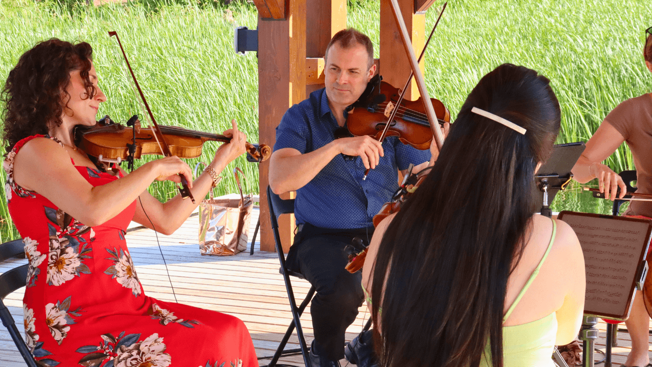 The Toronto Concert Orchestra performing as a quartet during a sunset performance on the Mill Pond Floating Stage