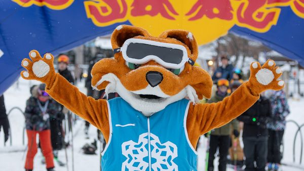 Blue Mountain Resort Mascot, Frost the Snow Fox, posing at the bottom of the mountain during a winter event.
