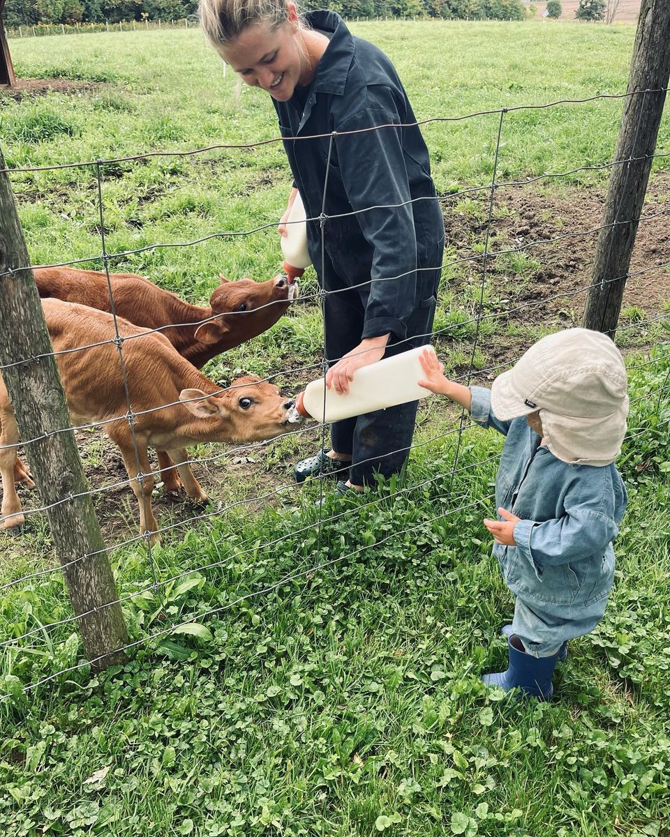 A young toddler feeds a baby calf milk from a bottle through the fence at Good Family Farms, part of the Apple Pie Trail in The Blue Mountains.