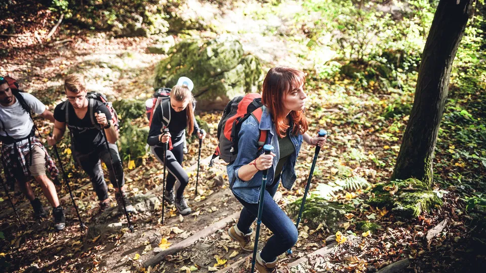 Group of friends ascending up the mountain on a sunny hike in the Blue Mountain Resort Explore Park