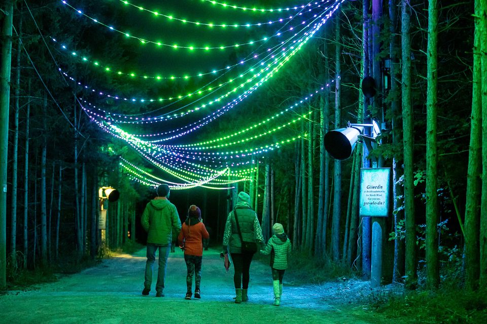 A family of four walk out along the illuminated trail, beneath a canopy of blue, green, and purple lights, along the annual AGORA: Path of Light on a Fall evening at Blue.