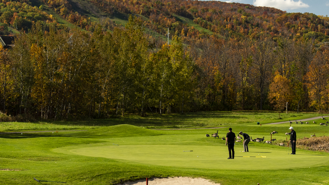 A group of friends play a round of golf on a crisp fall afternoon at Monterra Golf Course at Blue Mountain.