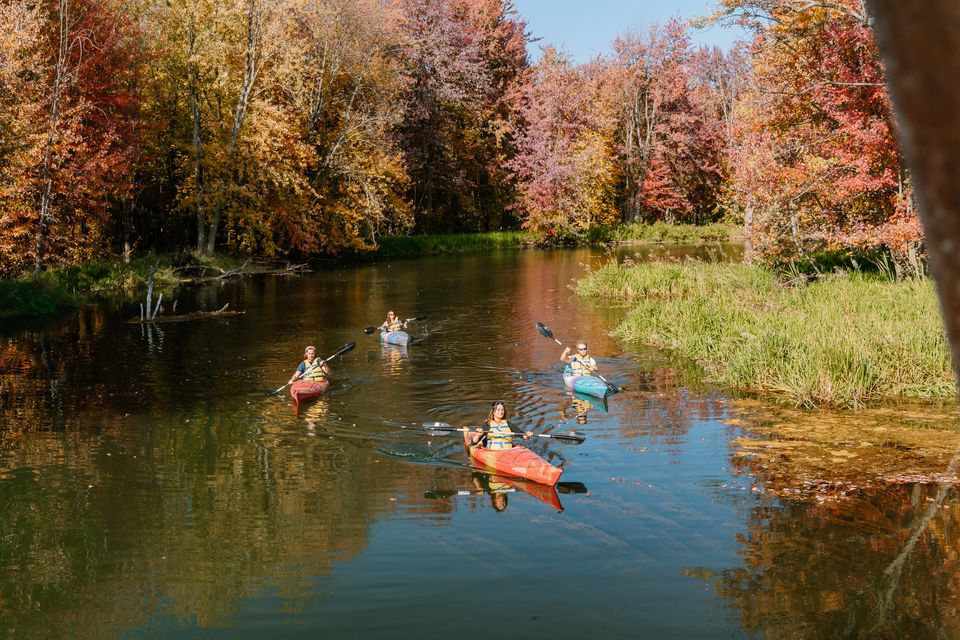 A group of 4 kayakers paddle down the Beaver River along the amber and auburn forest on a crisp fall afternoon.