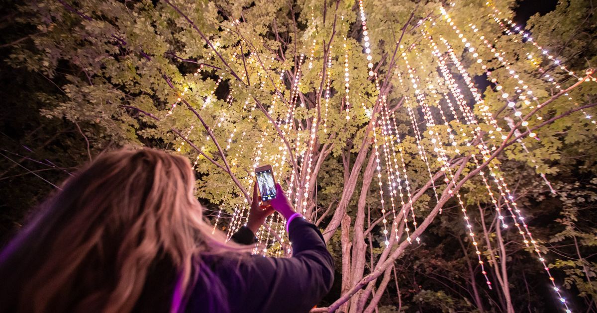A woman holding her phone up beneath the lit up tree, taking in the AGORA: Path of Light experience at the top of the Mountain.