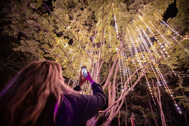 A woman holding her phone up beneath the lit up tree, taking in the AGORA: Path of Light experience at the top of the Mountain.