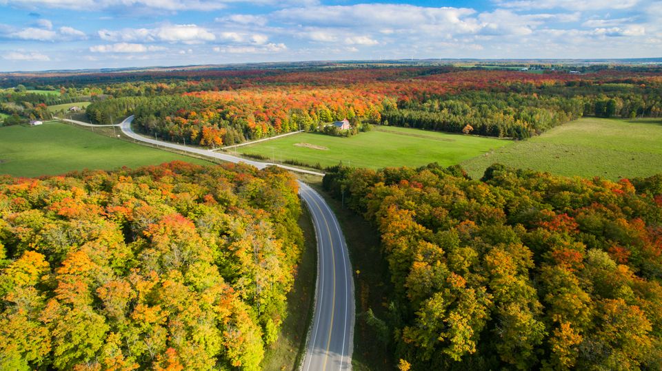 An aerial view of the Beaver Valley with Grey Road 2 running down the middle of lush forests in their fall colours. Photo is copywritten by Grey County Tourism.