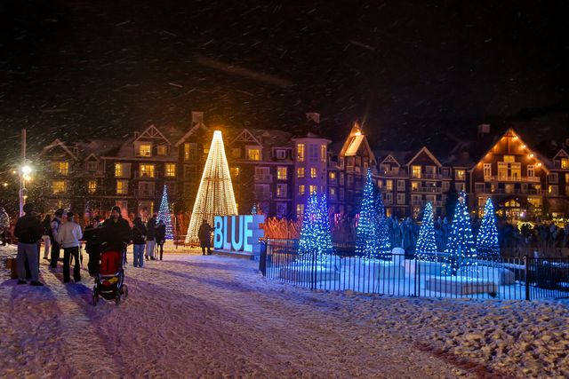 Wide shot of the BLUE Sign, surrounded by lit up trees and twinkling lights, with families and friends walking along the Blumination Light Trail.