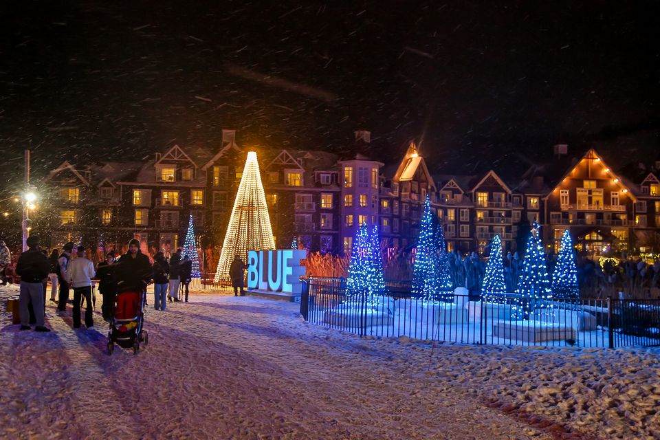 Wide shot of the BLUE Sign, surrounded by lit up trees and twinkling lights, with families and friends walking along the Blumination Light Trail.