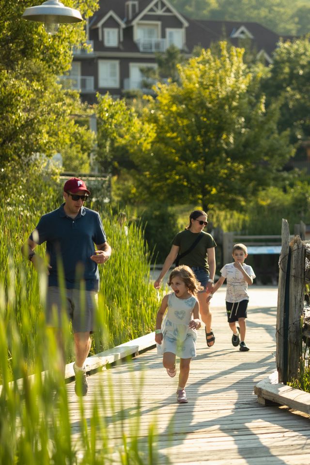 A family of four running together along the boardwalk on a summer evening, surrounded by green reeds and lush trees during golden hour in the Village.