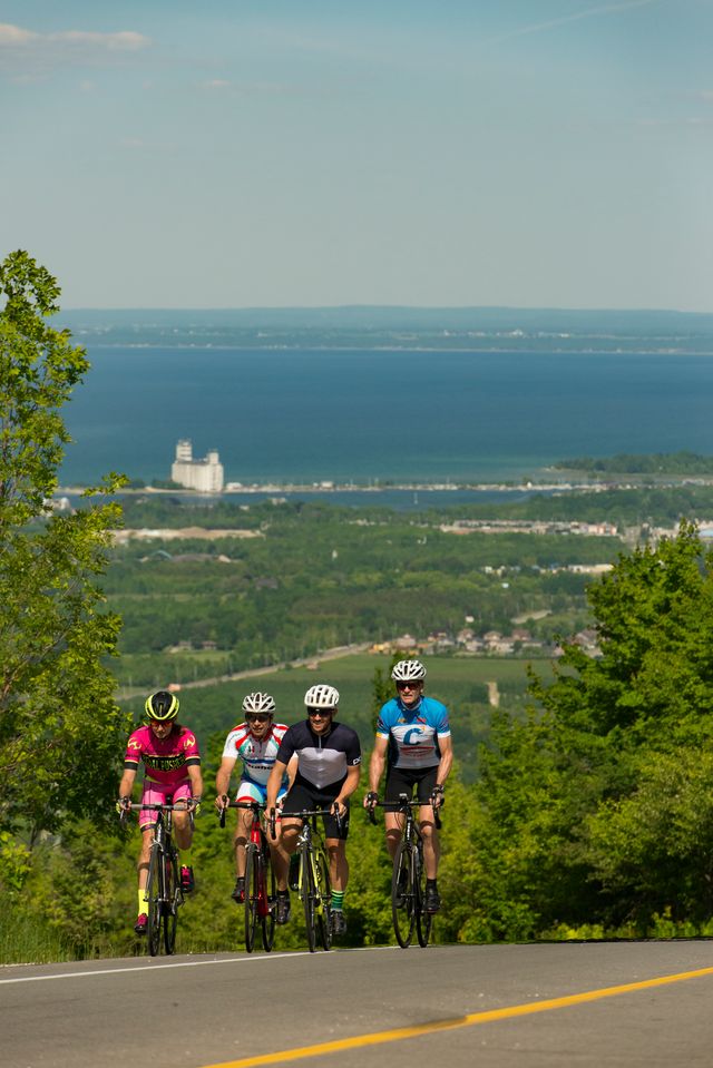 A peloton of cyclists climbing up the gravel roads on a sunny day of endurance biking through The Blue Mountains. 