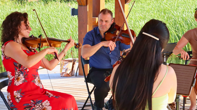 The Toronto Concert Orchestra performing as a quartet during a sunset performance on the Mill Pond Floating Stage