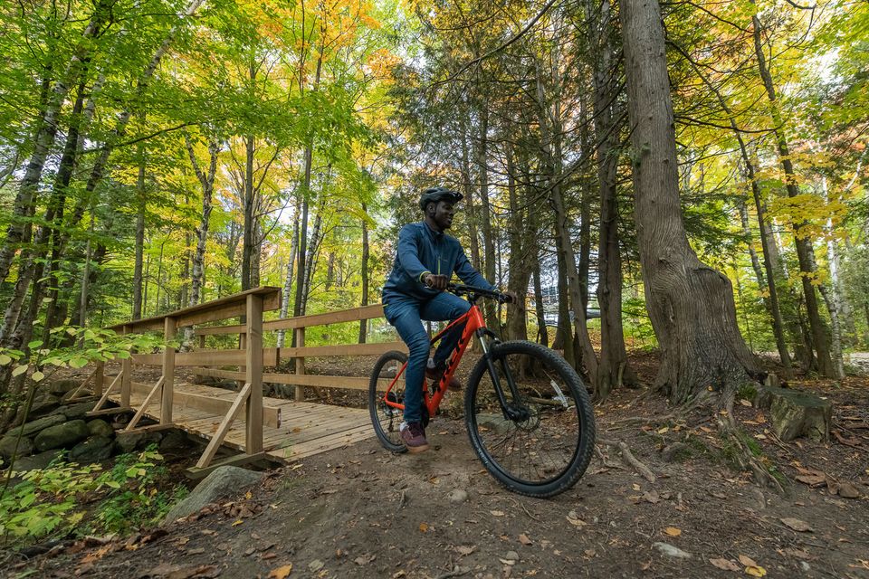 A man mountain biking through the forested trails at Blue Mountain Resort Explore Park on a sunny afternoon
